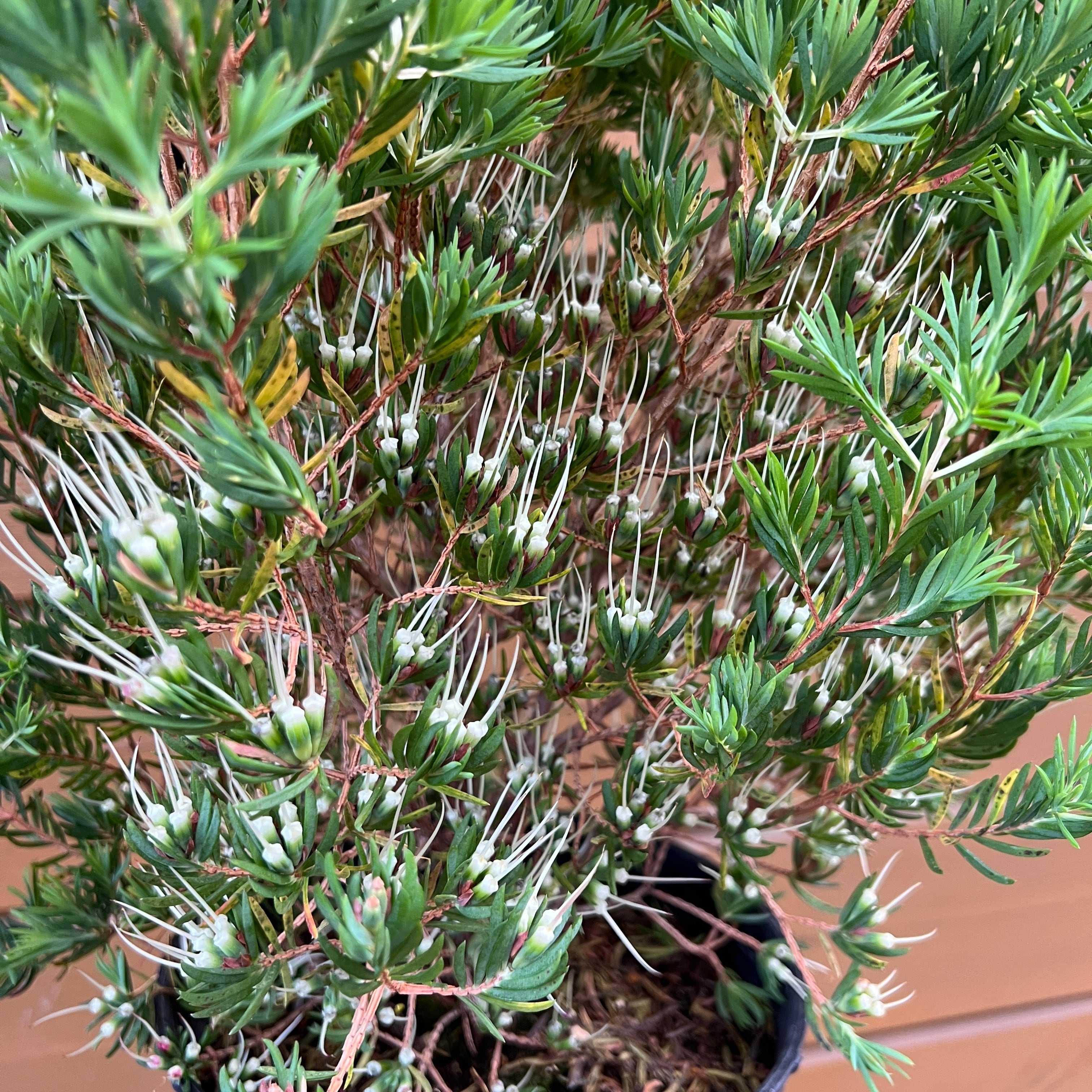 6933b3f534502b82c83cd0acb633d3