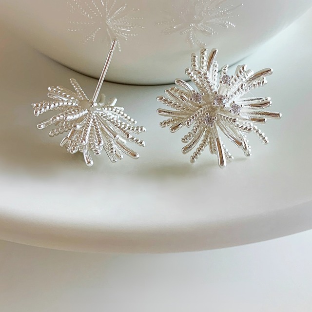 Frost Shine Earrings　a0094