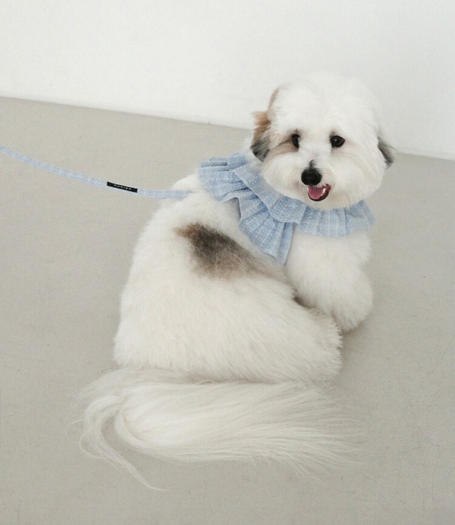 〈予約アイテム〉OHDIBS / capeness no. 17 Baby blue check
