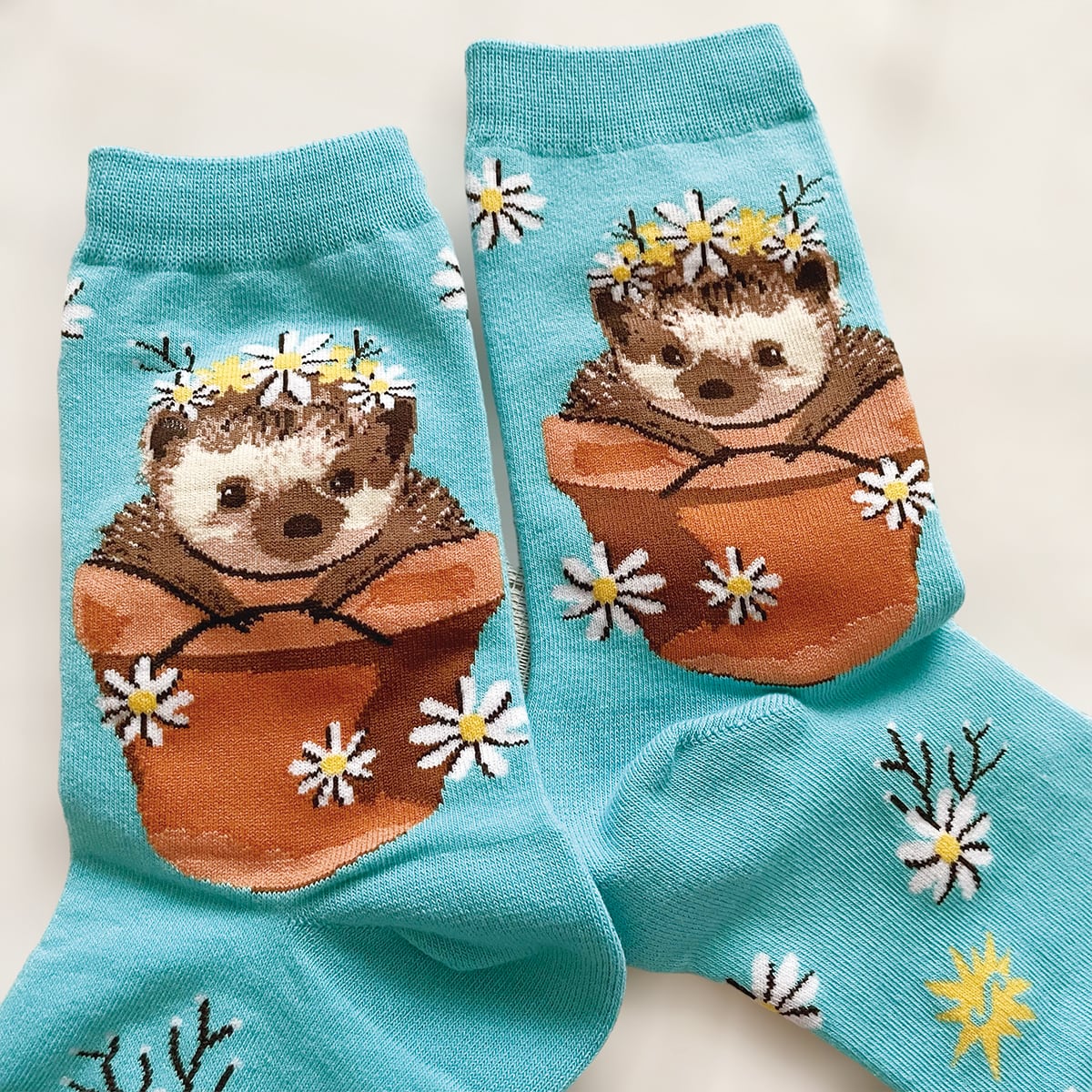 Sock it to me】愛しのハリネズミ ソックス | aruiteru | 歩いてる