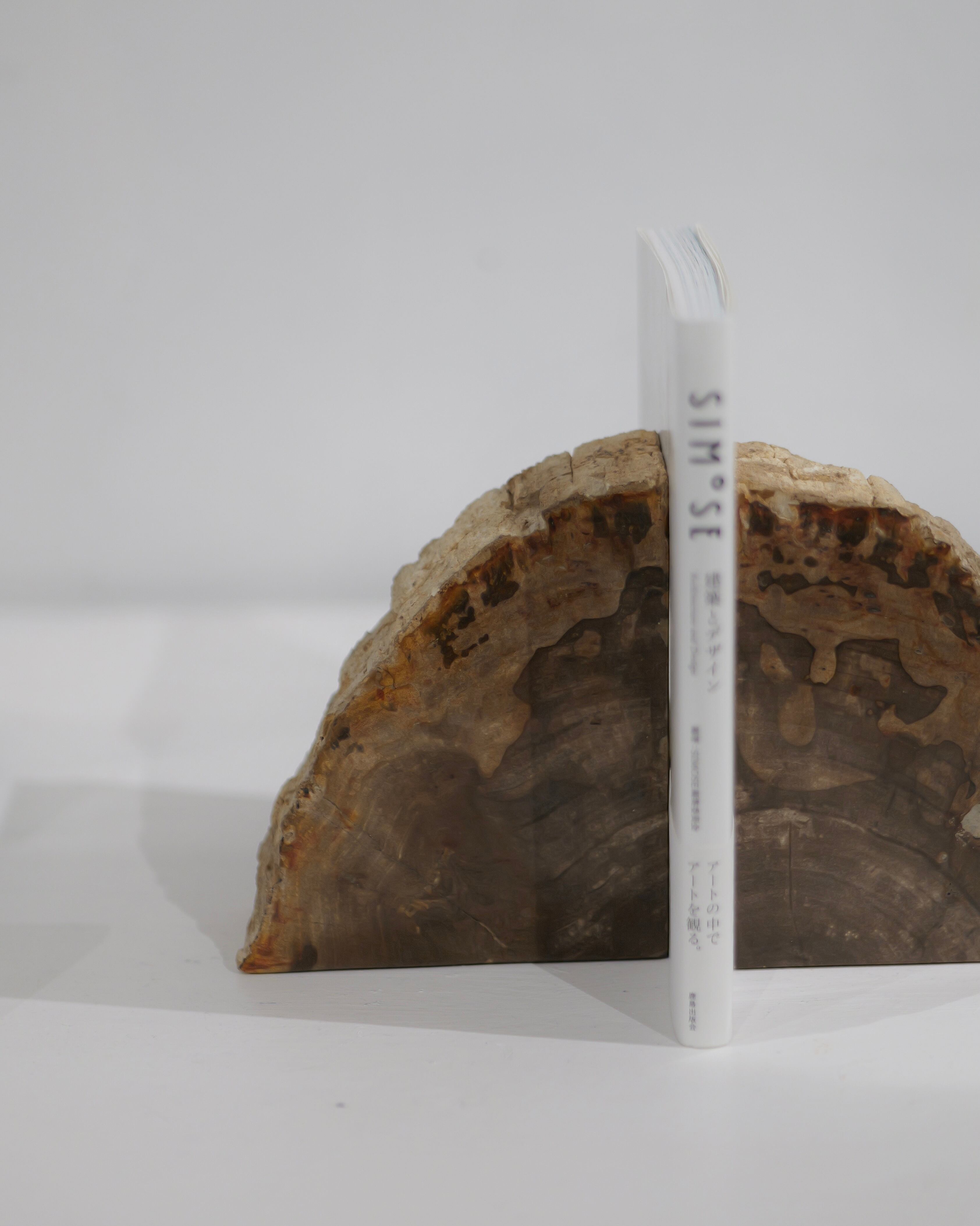 OAK Petrified Wood - Book End #001 ：Natural｜珪化木／一点もの