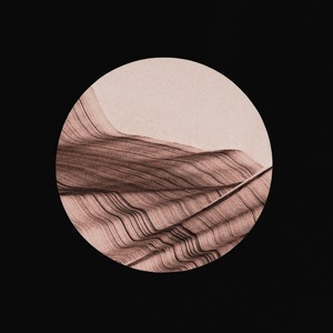 【CD】Tom Adams - Golden Waves(Moderna Records)