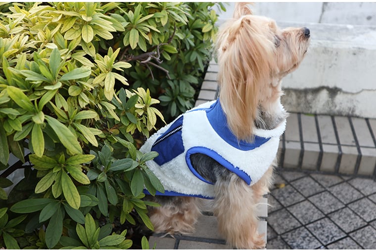 【SALE】もこもこフリースベスト S 〜 XL 4color  /  犬服 犬 VEST 袖なし ファスナー 冬 犬の服 アウター 暖かい 小型犬 中型犬 ドッグウェア