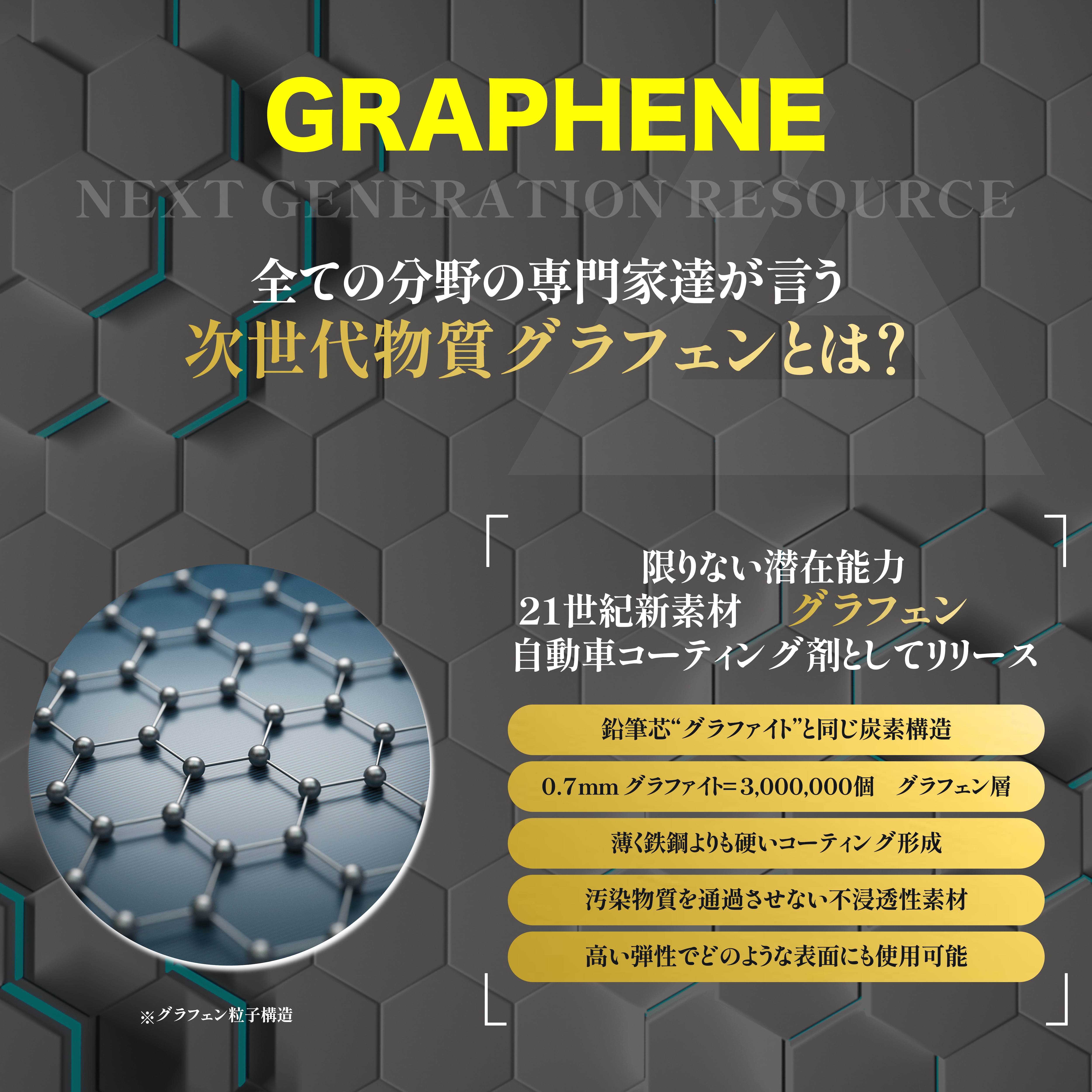 LM GRAPHENE SP PRO LMグラフェン プロ  LUMINUSメンテナンス用品