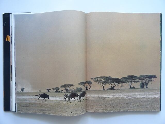洋書◇アフリカの風景写真集 本 野生動物 民族 自然 | 洋書堂