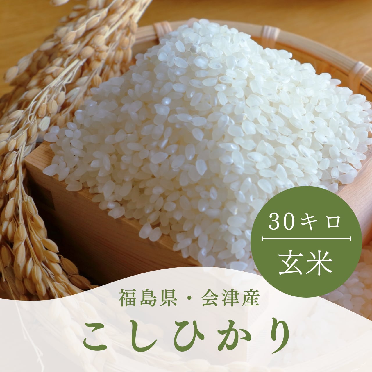 食品 令和6年福島県会津産コシヒカリ白米27キロ 古米