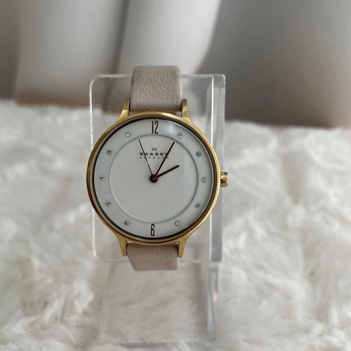 SKAGEN 腕時計 #4676