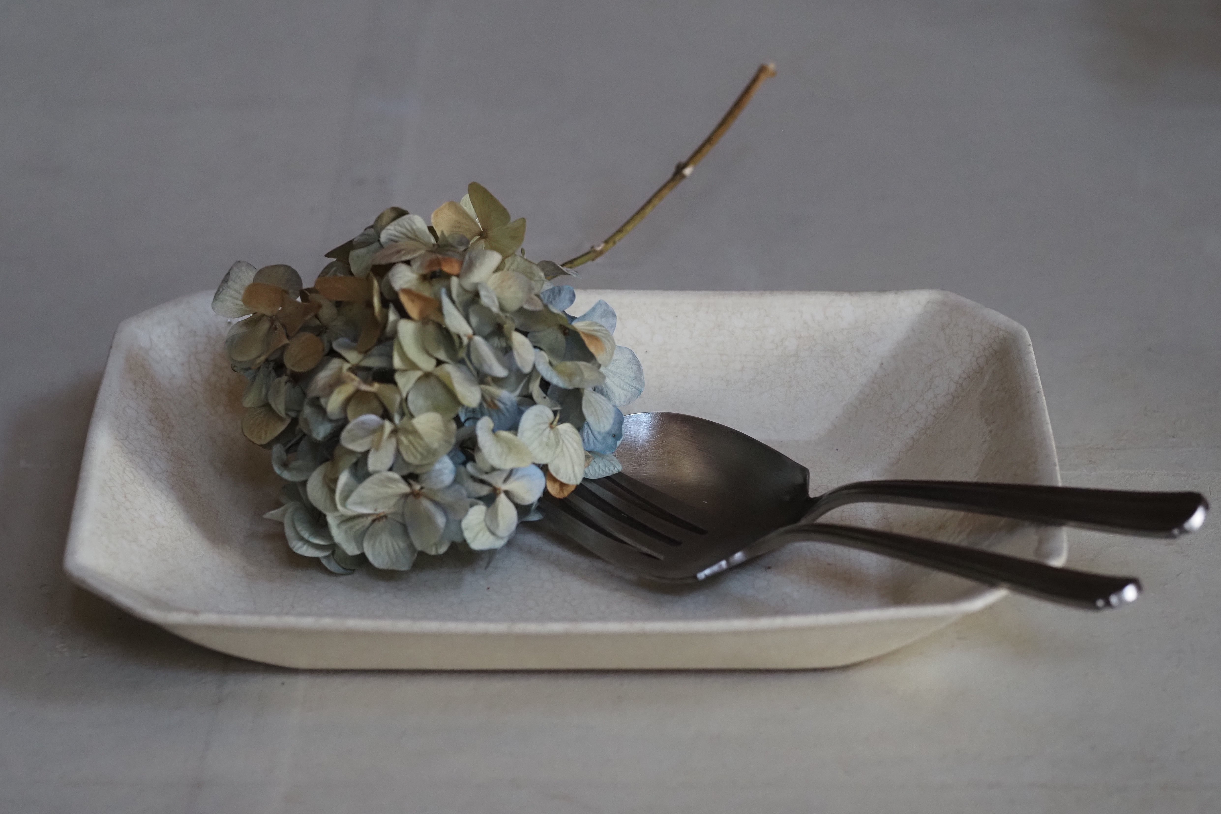 棚橋祐介 6. 八角長鉢 | 陶屋なづな