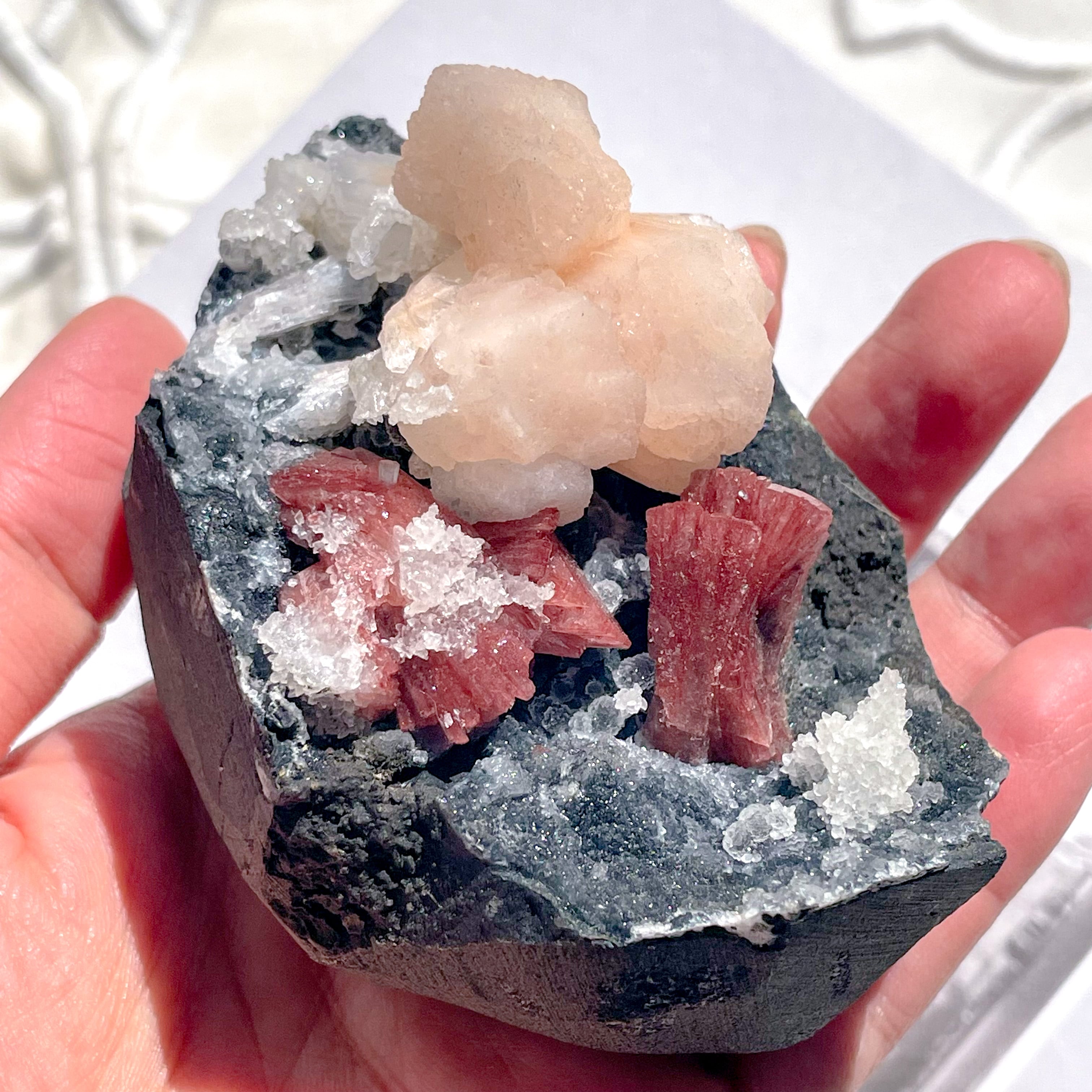 Pink & Red Stillbite ✧ ピンク&レッド スティルバイト | FLUXY