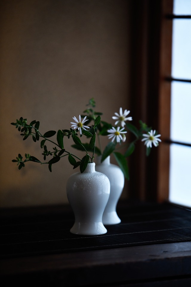 季節のしつらいと花【一回稽古/旧暦の菊と十三夜】動画稽古（初めての方のための稽古です）