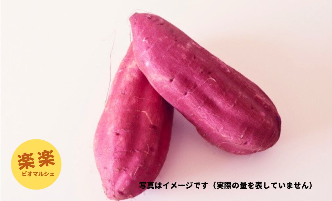 さつまいも・紅あずま