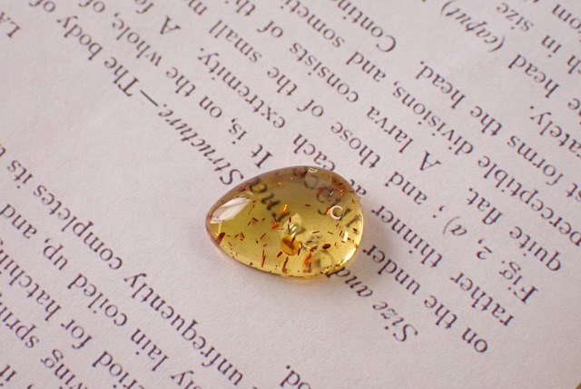 バルティックアンバー　2.16ct　[C11-530]