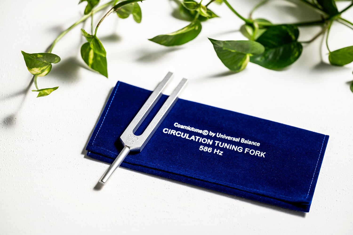 テクノAO MP24 ペンダントヘッド 楽天市場】※予約商品【11月末頃のお届け予定】【テクノAO】MP24