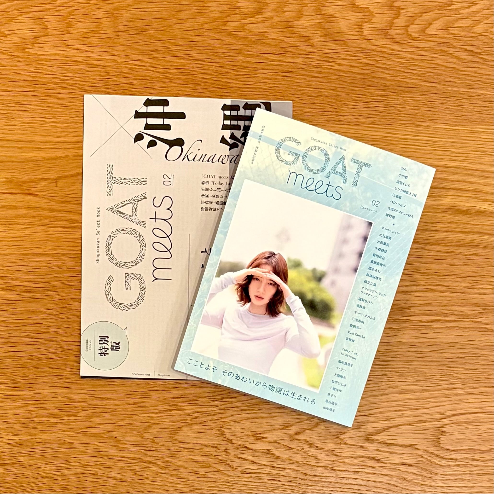 文学とマンガ | 本屋ルヌガンガ ネットショップ