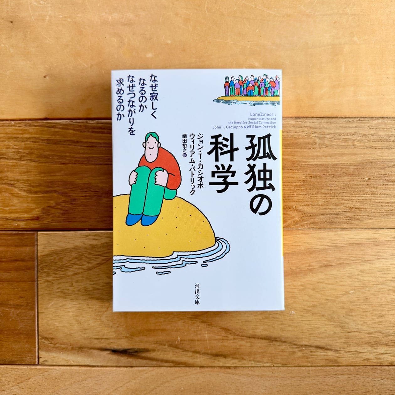 視線と差異 フェミニズムで読む美術史｜グリゼルダ・ポロック(著