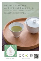 〈立夏〉 ことの茶　玉緑茶、本蒸し茶、おくみどり
