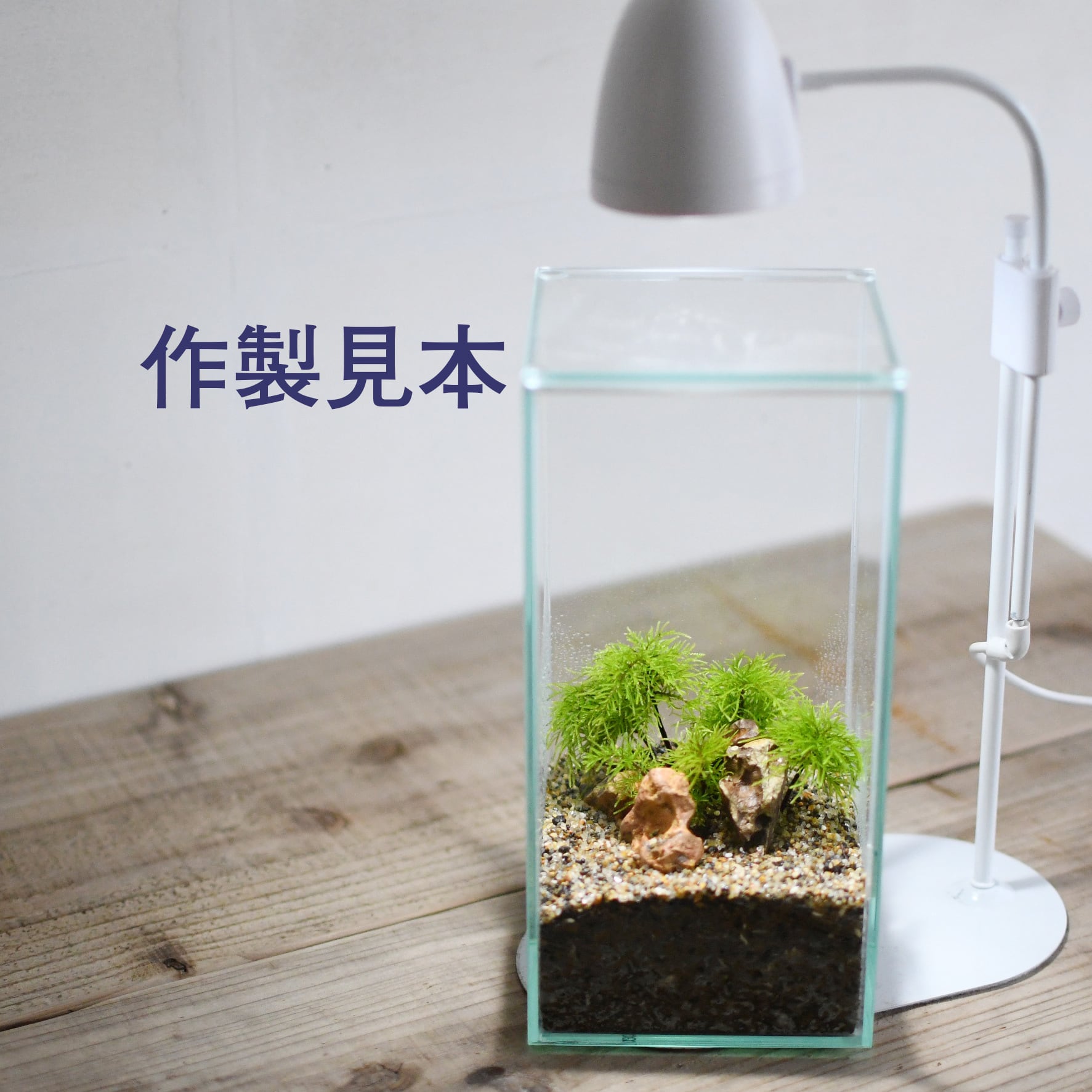 ガラス容器】フィット100x100High（100x100xh200mm）◇高さの