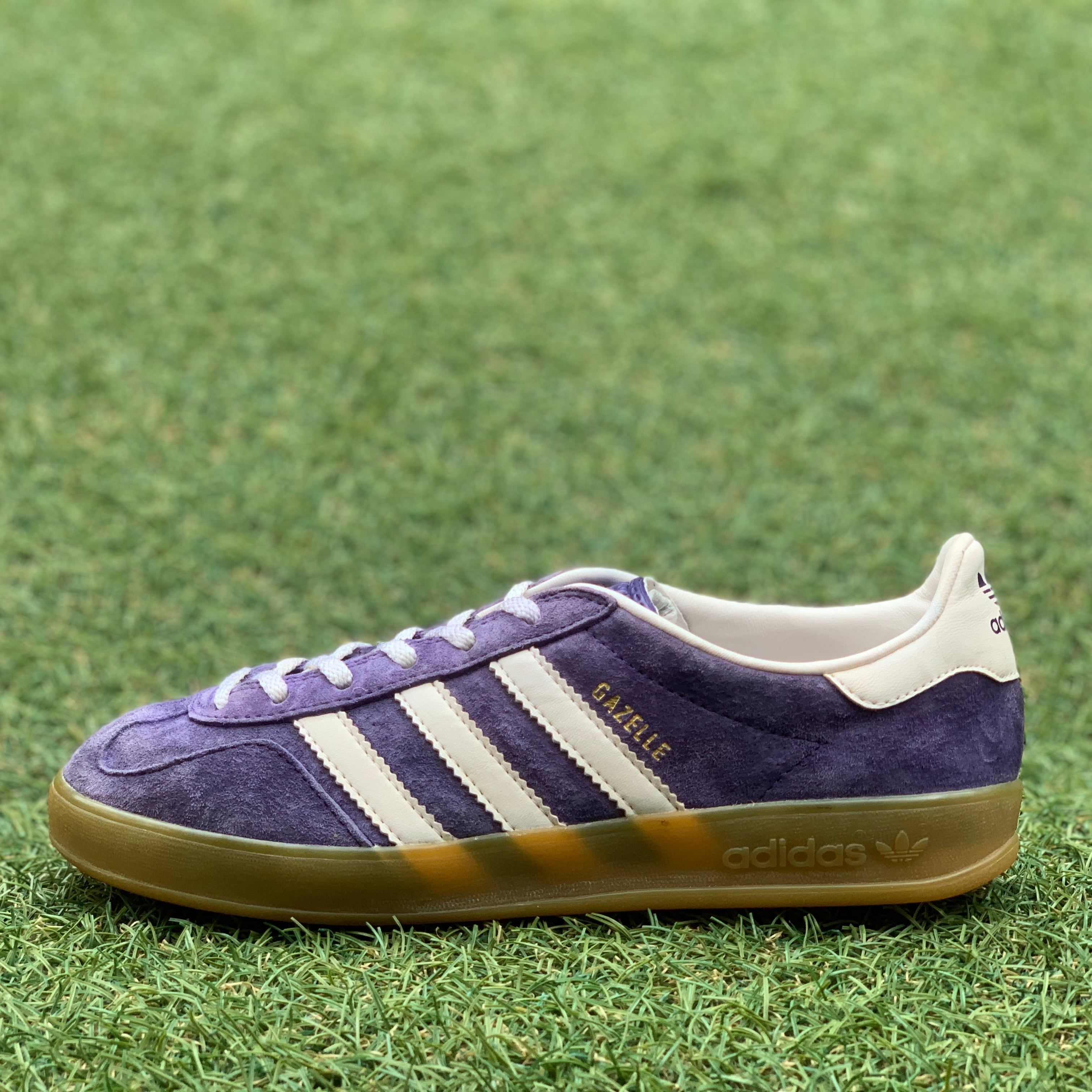 adidas GAZELLE INDOORアディダス ガッツレー インドア F637