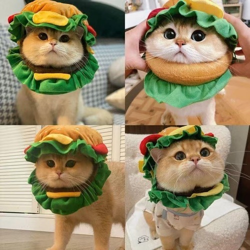 猫 帽子 犬 帽子 ペット 帽子 ハンバーガー コスプレ 猫用 犬用 被り物 かぶりもの ペット用品 かわいい おもしろ 変身 なりきり コスチューム 仮装 ペットウェア 猫グッズ 犬グッズ 小型犬 猫用帽子 ふわふわ 写真撮影 SNS映え 誕生日 ハロウィン クリスマス S M L 商品画像3