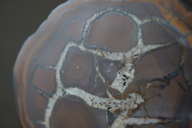 セプタリアン　Septarian　1121