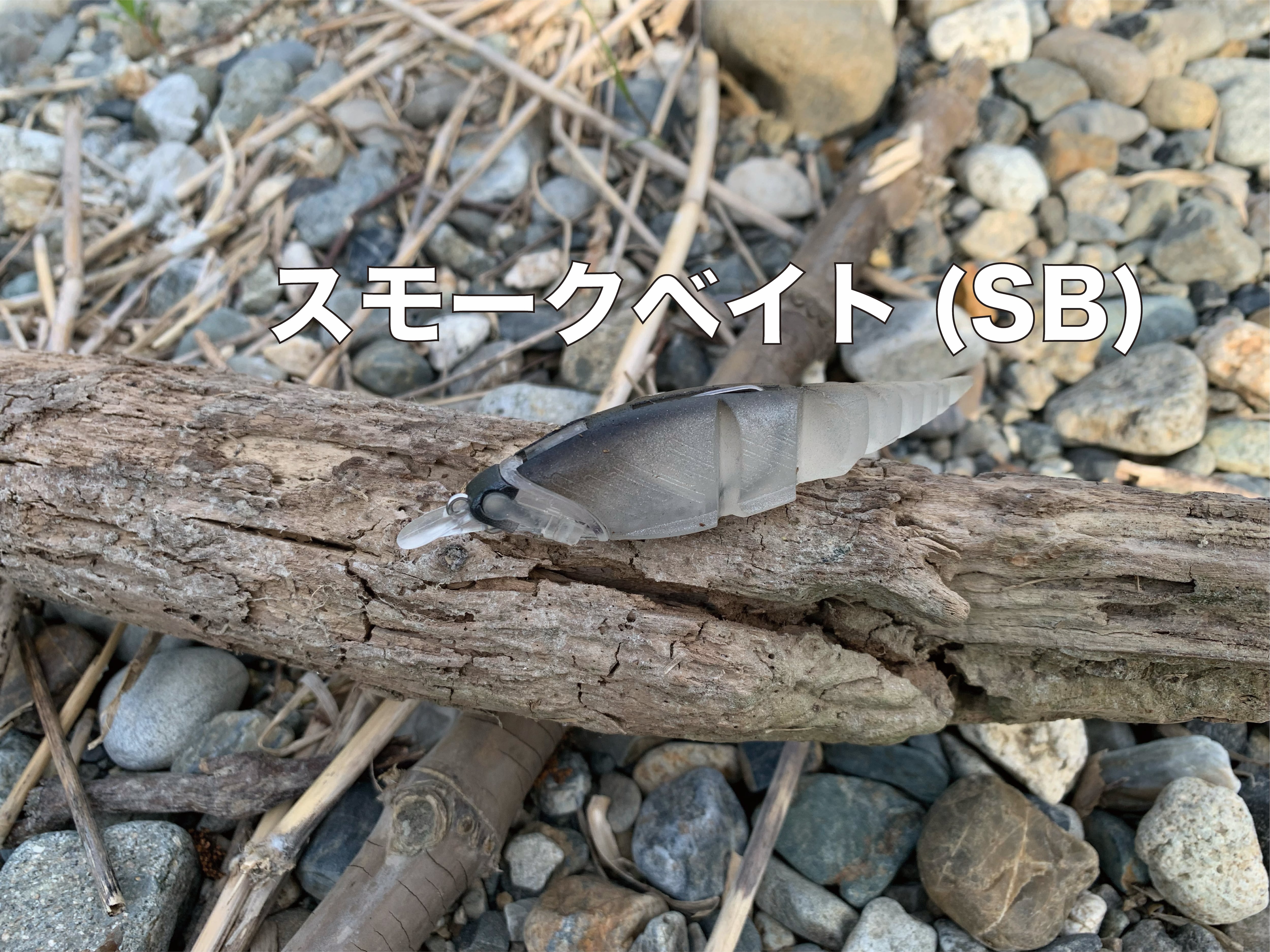 β-MINNOW | TTT