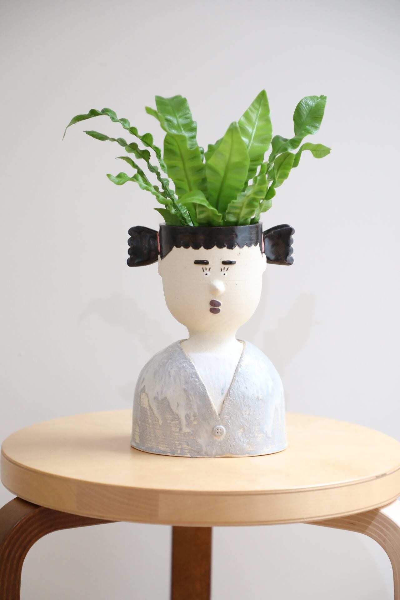 サンスベリアマフィンガ/Sansevieria ※陶器鉢付き | 【厳選植物・器