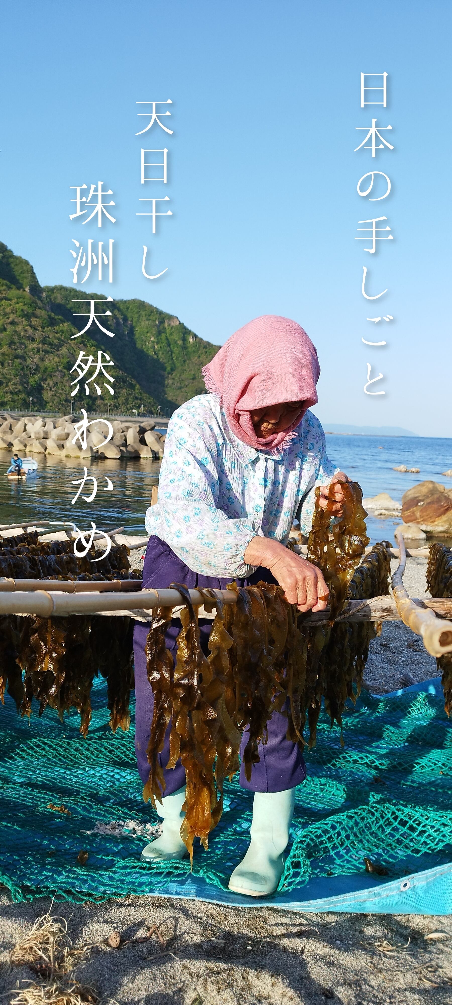 珠洲天然わかめ　45ｇ