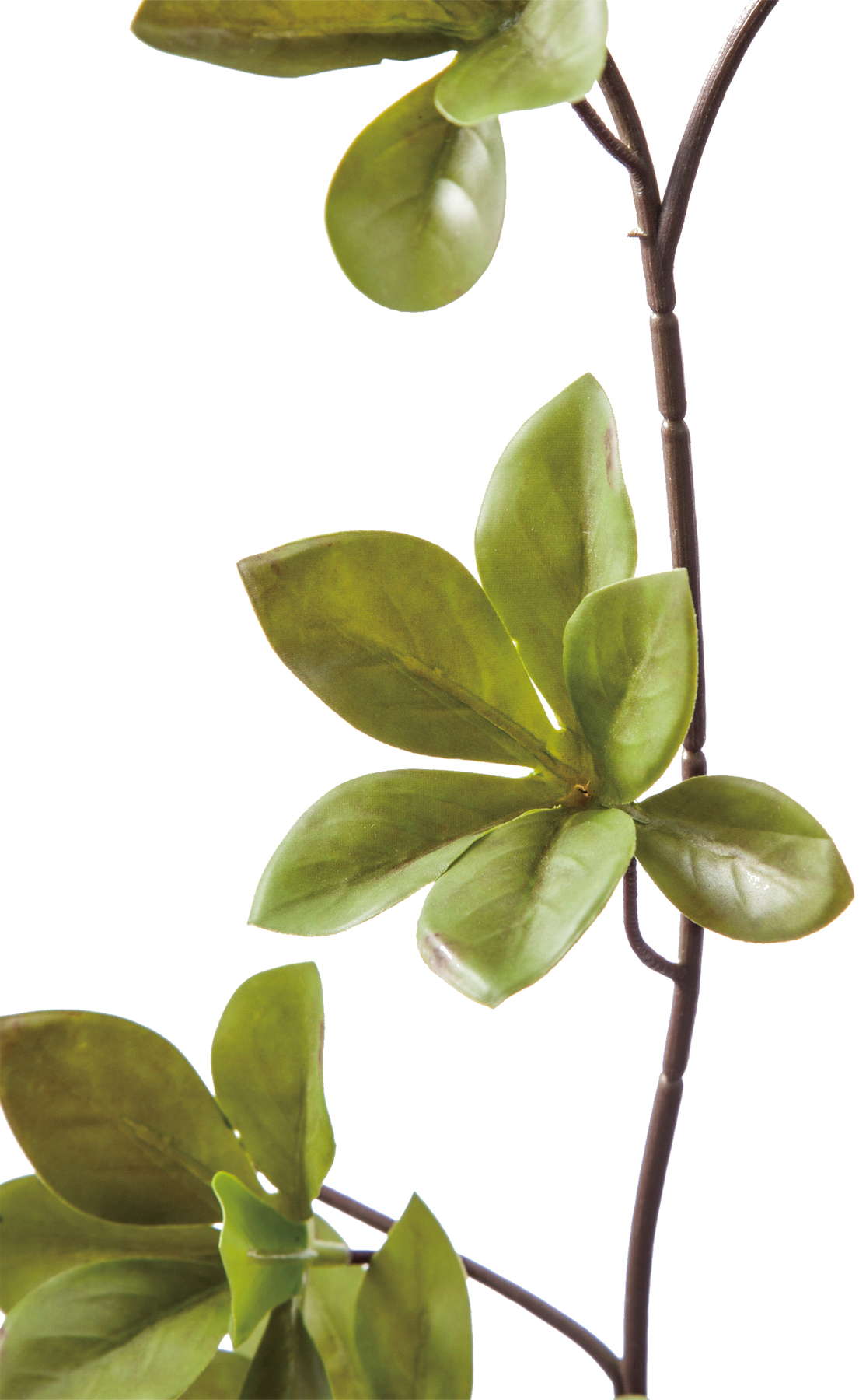 ドウダン　ＧＲ　　FG-4846GR　4961823678097　造花（アーティフィシャルフラワー） > 定番造花グリーン（素材）