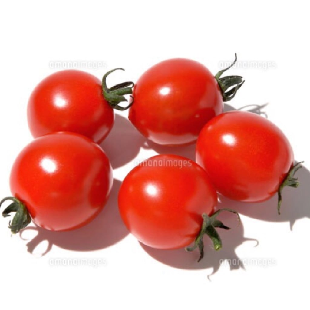 ミニトマト　お子様も食べやすい！　八ヶ岳　約20kg　水耕野菜コム　味濃いめ　減農薬栽培