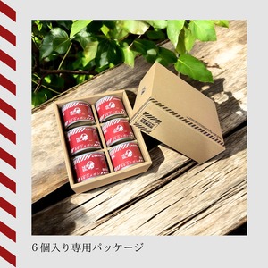 特務機関NERV指定 どんなときも99ウメボシ  DTS-2　