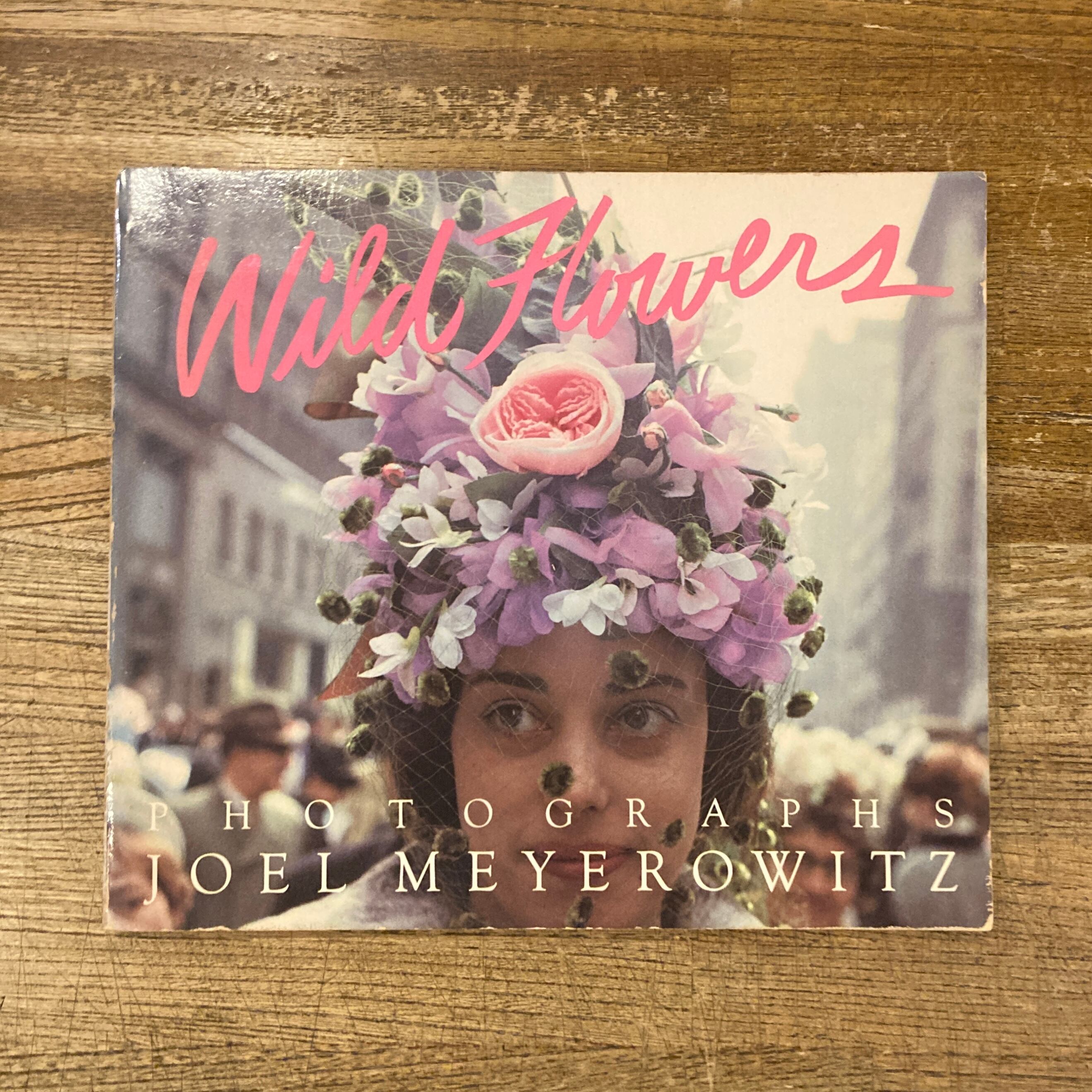 Wild Flowers / Joel Meyerowitz (ジョエル・マイヤーウィッツ) | 百年