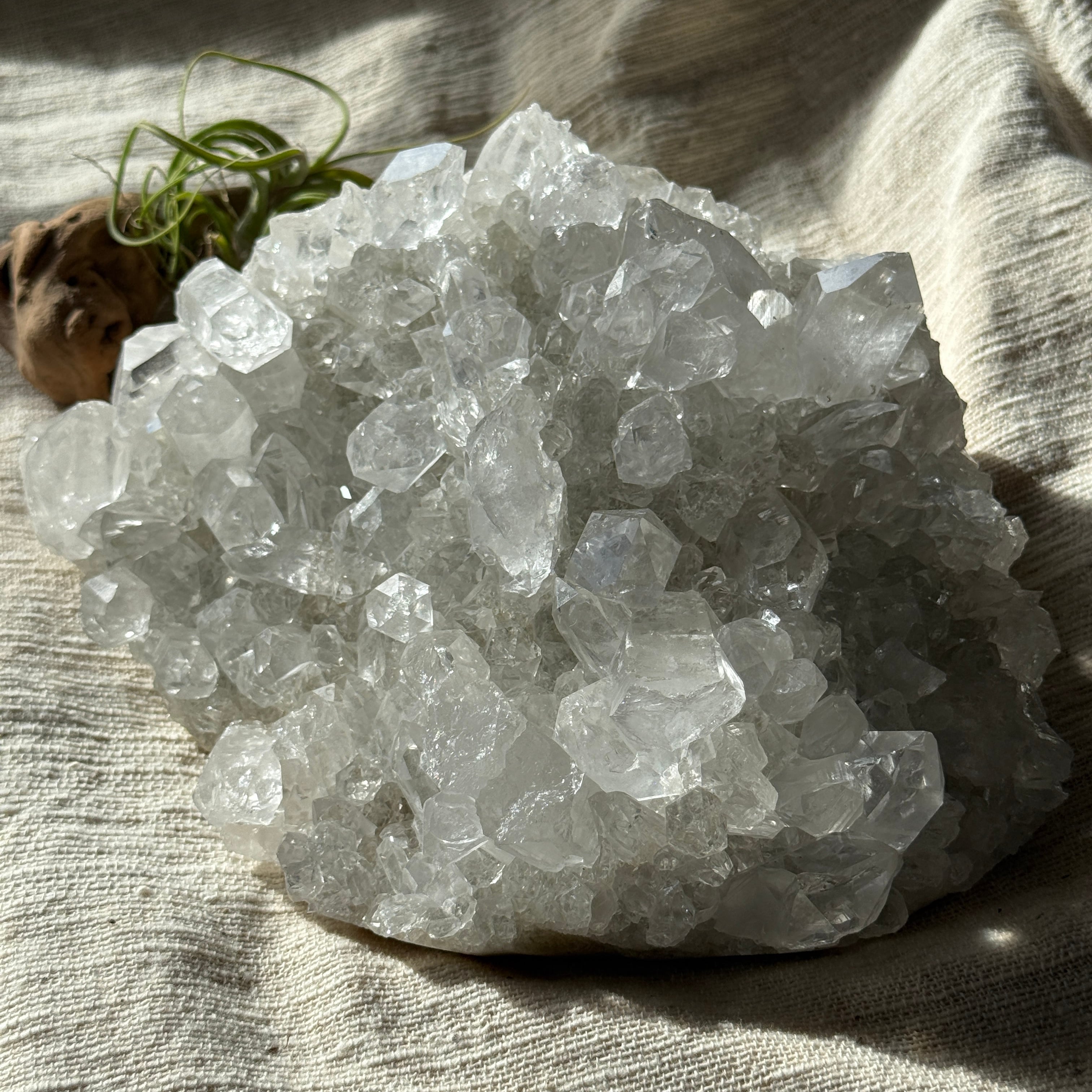 高透明度【水晶　ミニ ポイント】 ♡ Rock Crystal Point 高透明度【水晶 ミニ ポイント】 ♡ Rock Crystal Point