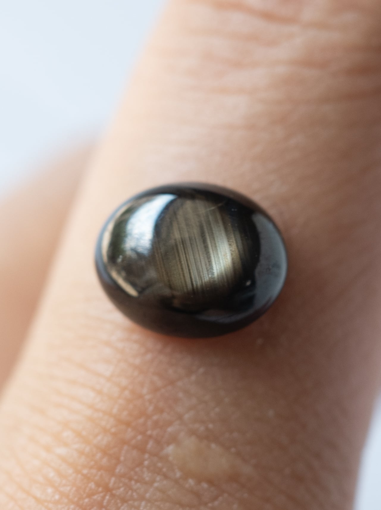 14K ブラックスターサファイア、ダイヤ WG  トップ (昆虫) 12条】バンカチャ・ブラックスターサファイア - b03 | SELSHA