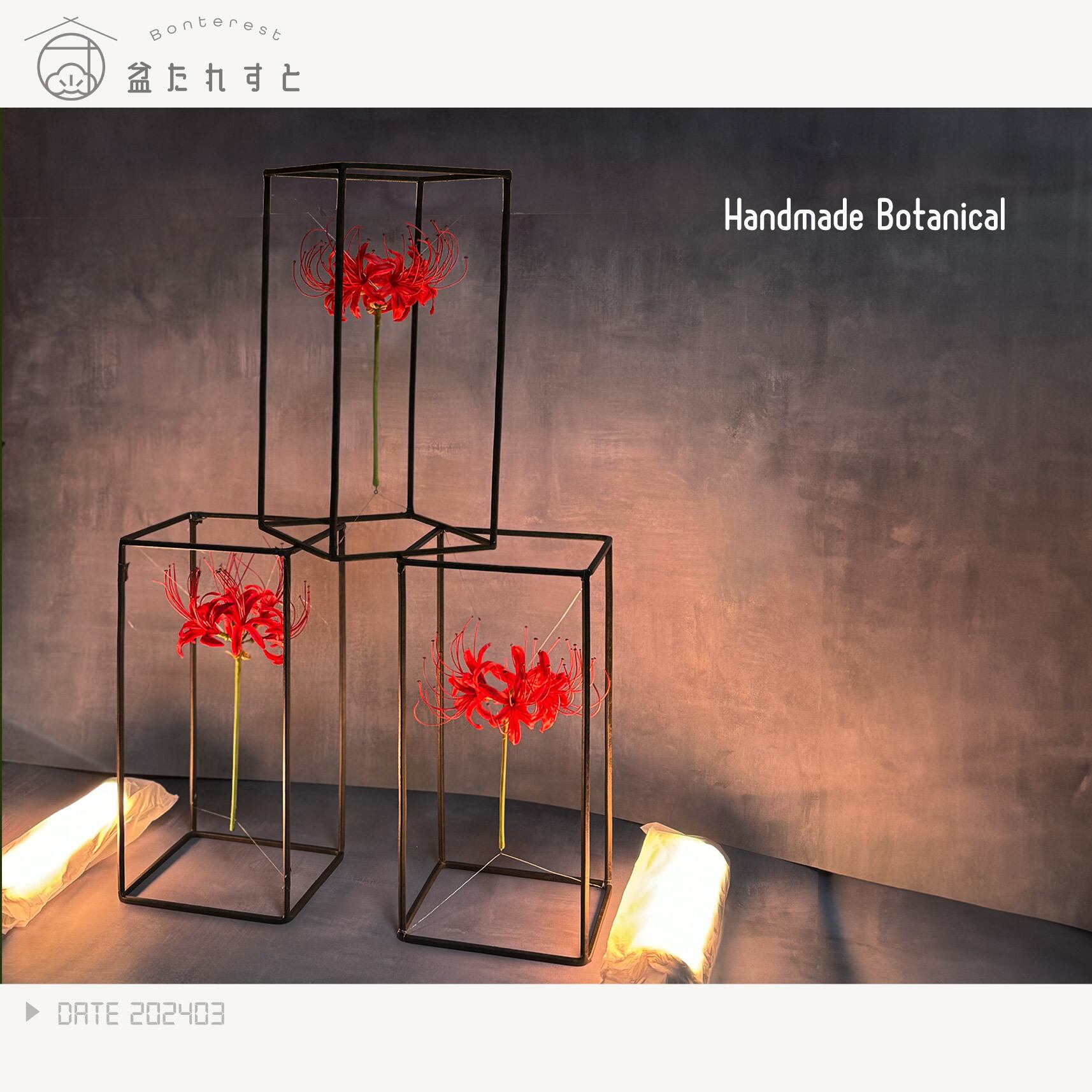 ワイヤーフレーム / 彼岸花 (Wire frame art Red spider lily