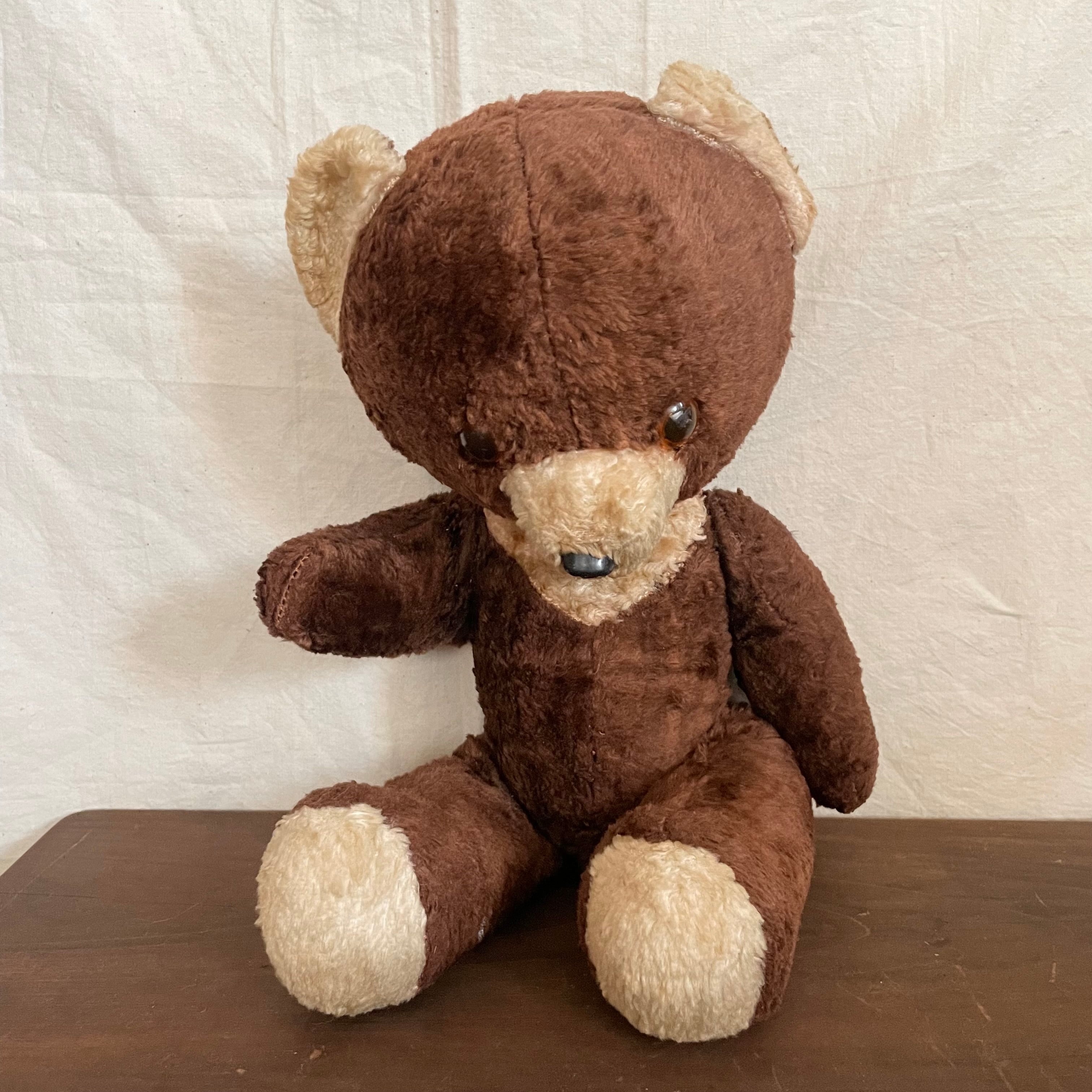 やぁと言いそうなツキノワグマ