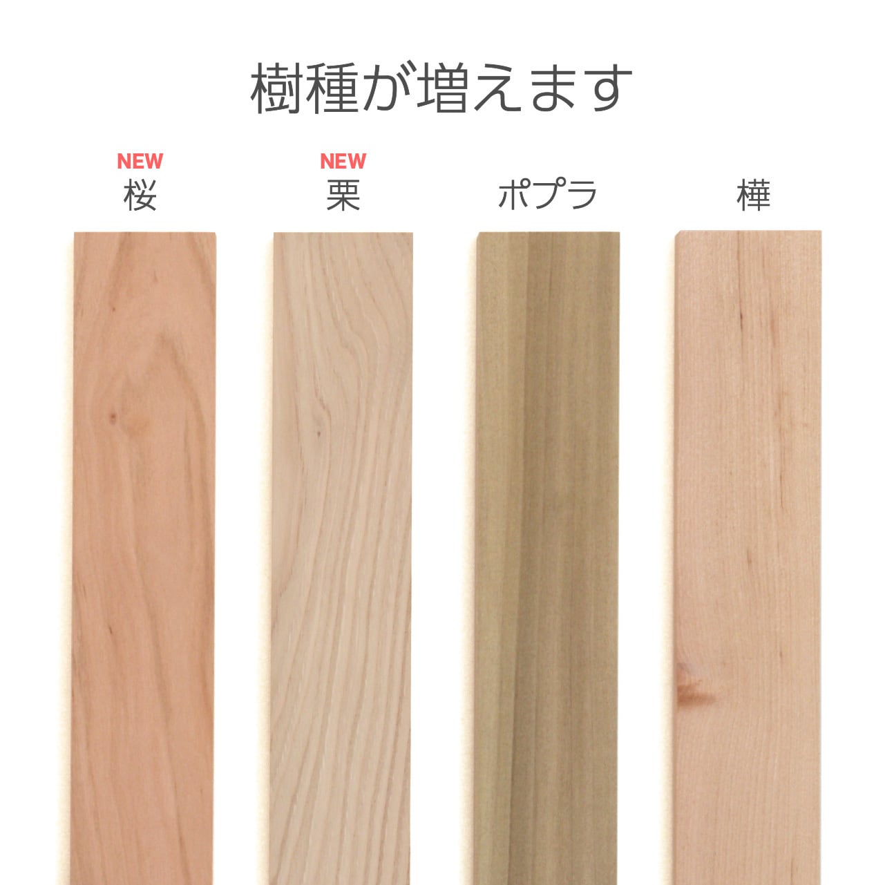 WAKU-BLOCK45 G100 | 童具館｜オンラインショップ