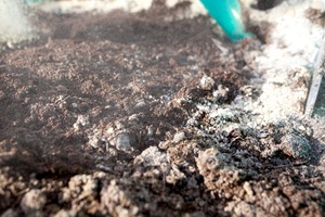 茅野農園 農薬化学肥料不使用 コシヒカリ『天雫の瑞穂』5kg