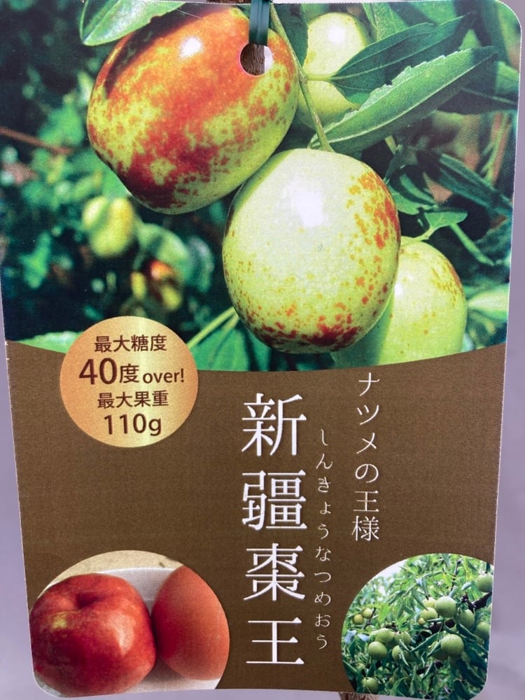 果樹苗 | 日本ライン花木センター