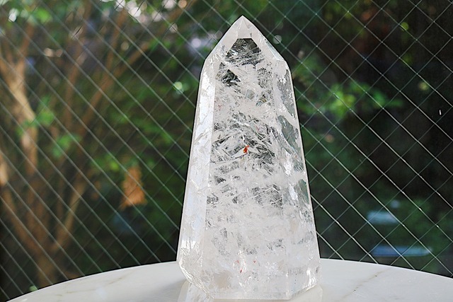 神の化身６(家族全員)