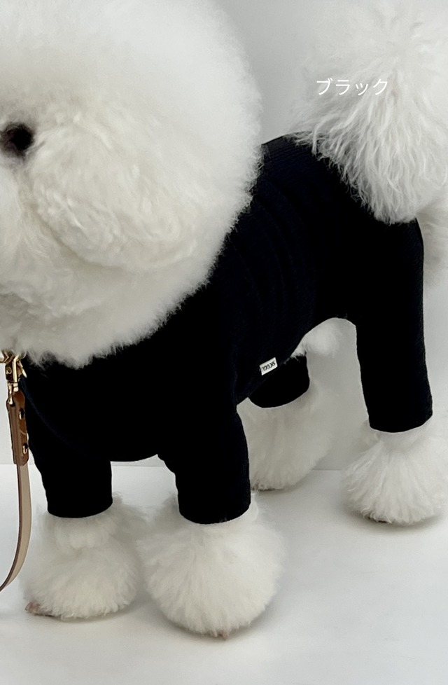 〈予約アイテム〉SICGGU / チーズオールインワン