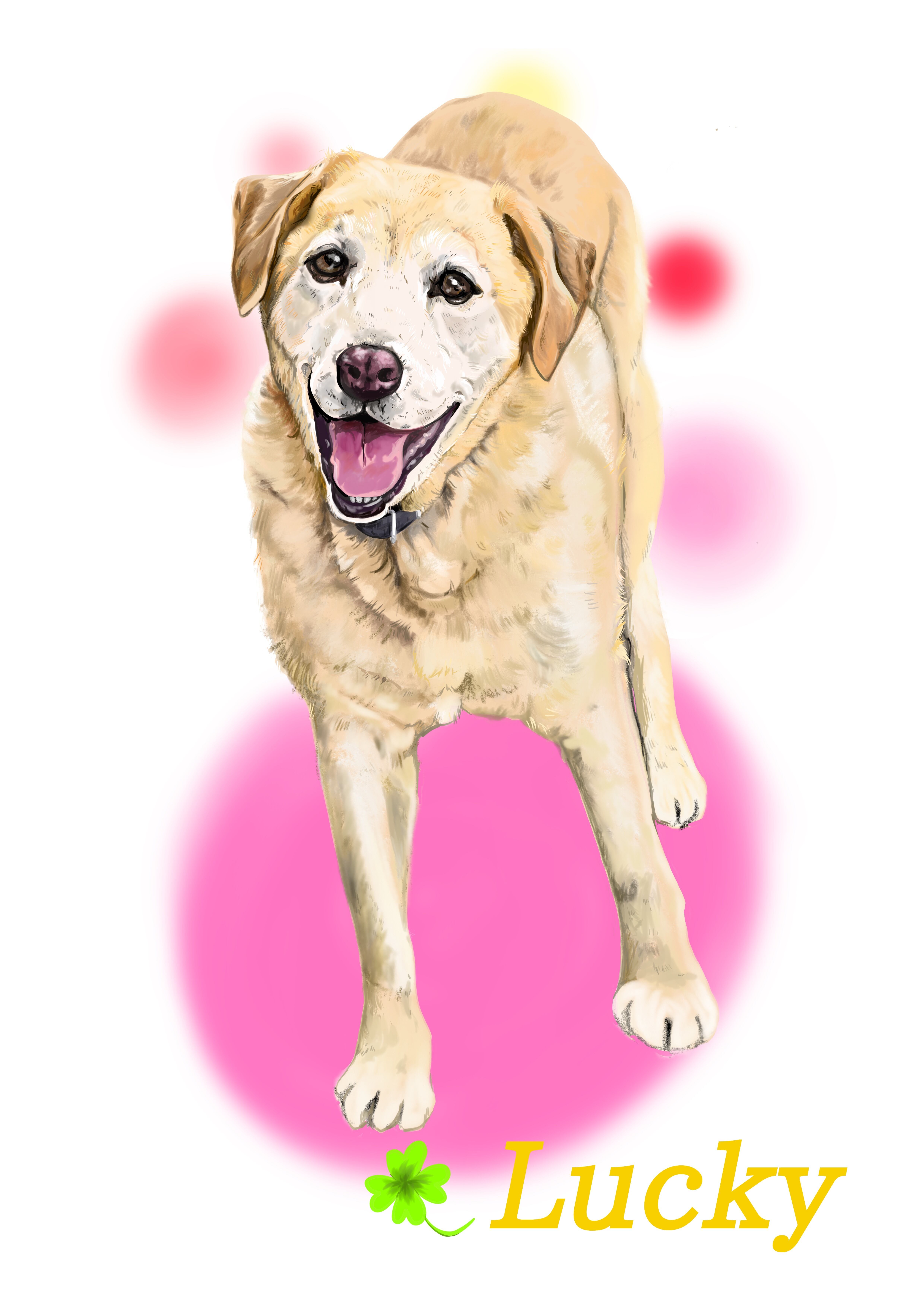 希少 大人気 ワンチャン デジタルイラスト オーダー 今ならお試し 500 包装無料 送料無料 Itspiders Net