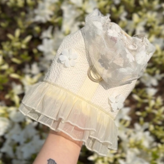 【即納】pastel yellow harness / SICGGU　韓国犬服