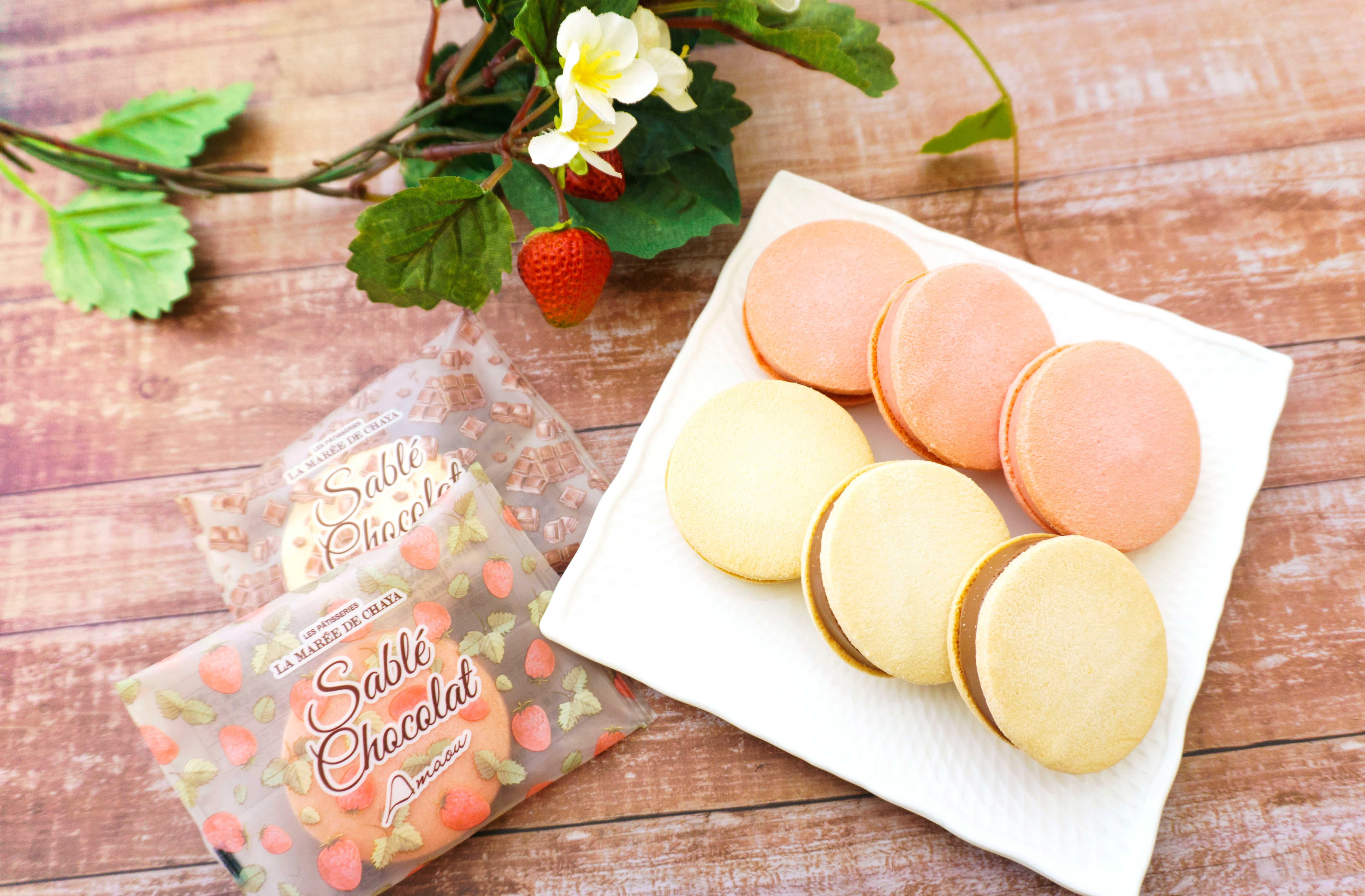 葉山リーフパイ5枚入 | LES PÂTISSERIES LA MARÉE DE CHAYA