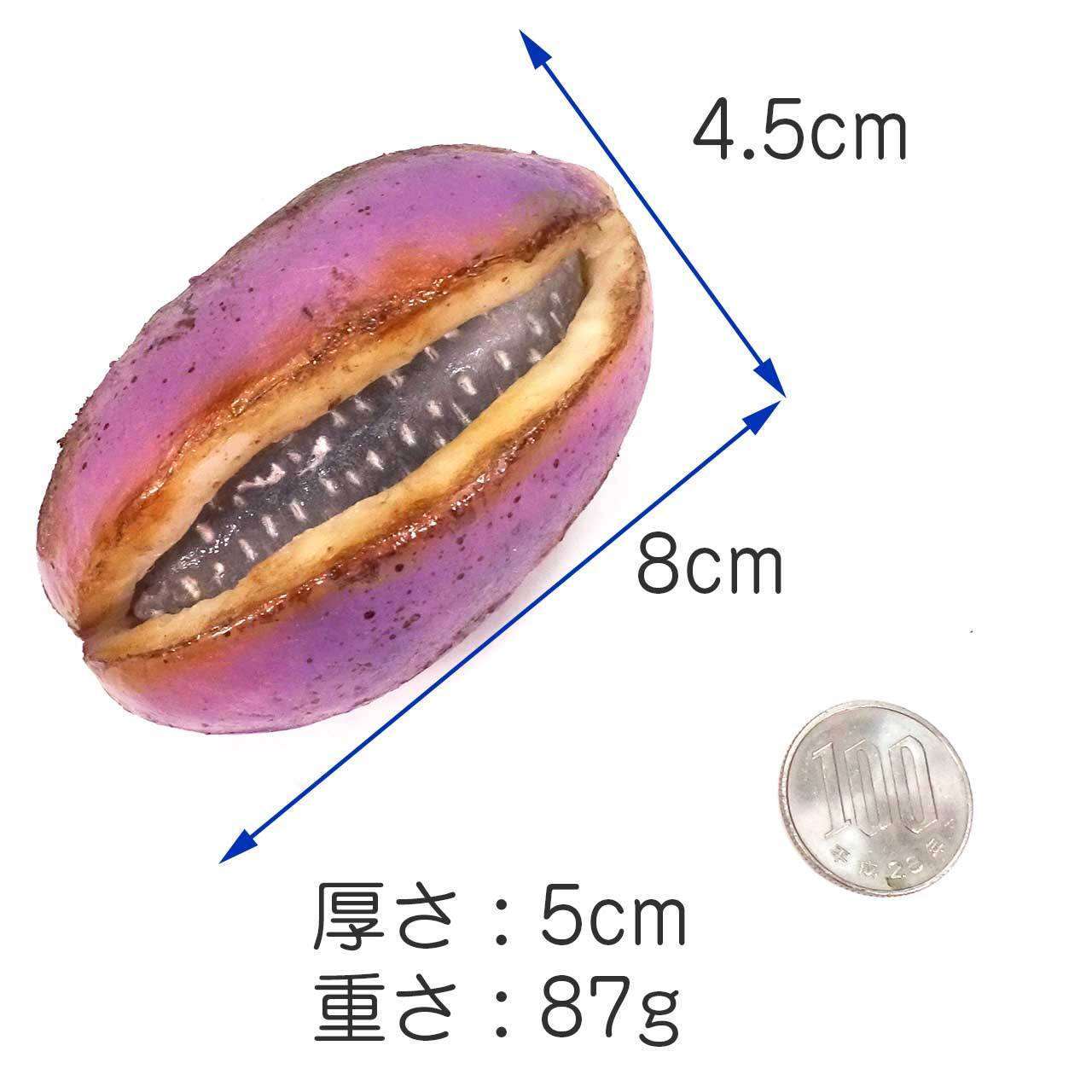 あけび 食品サンプル ディスプレイ用 | ココナッツ・アクセサリー