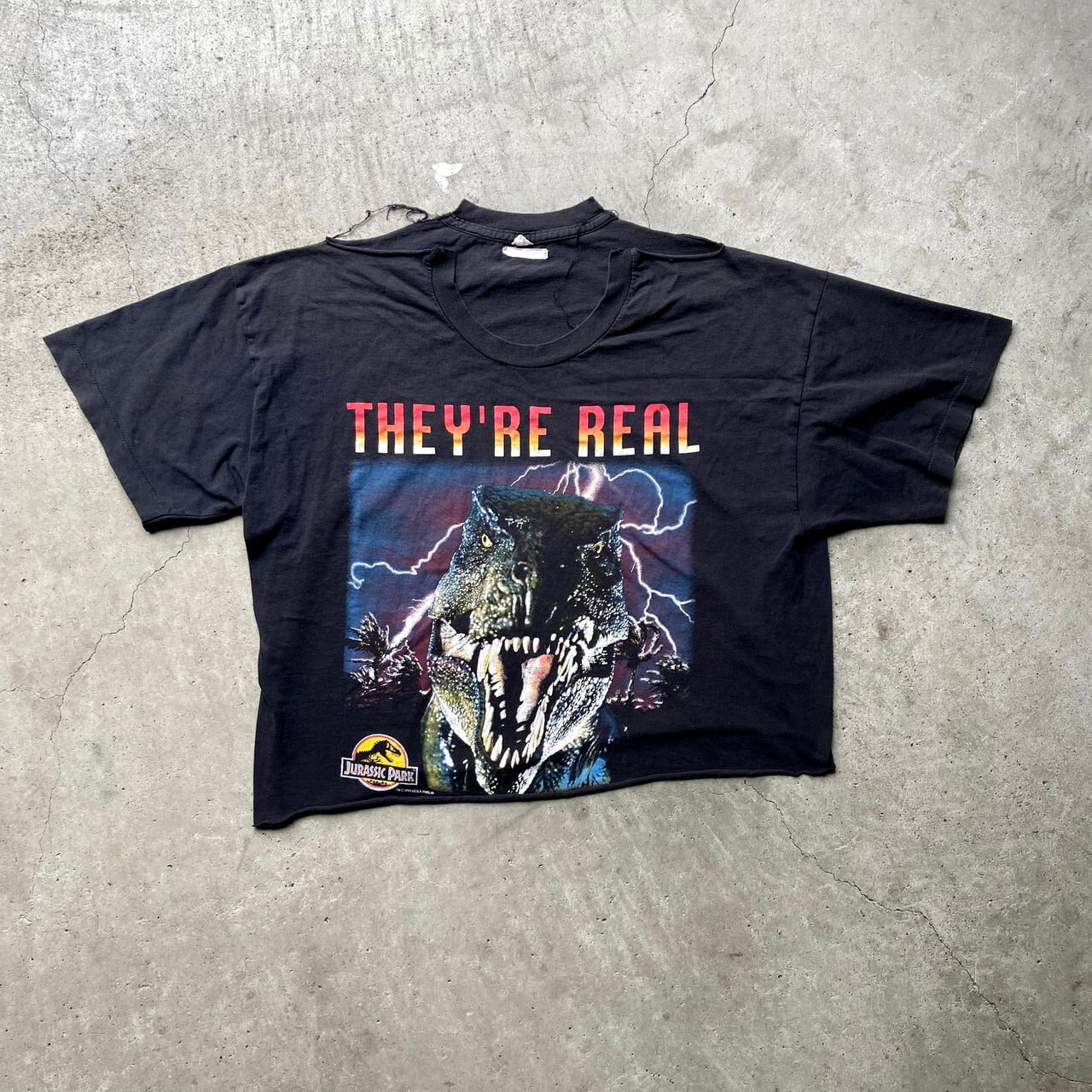 90s JurassicPark movie T-shirt ジュラシックパーク