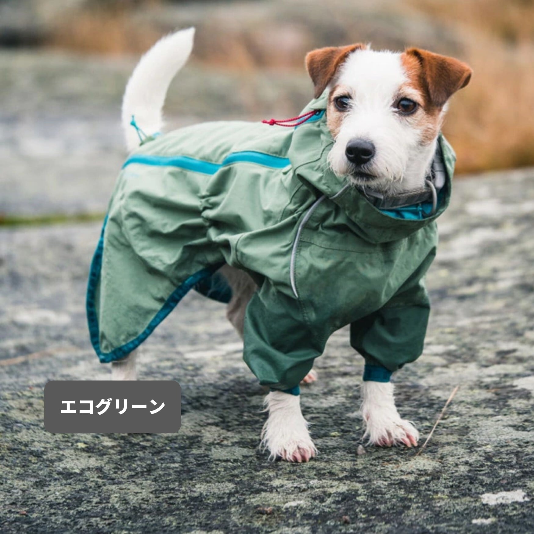 Hurtta】【フルッタ】・ドッグレインコート 「Rain Blocker レイン