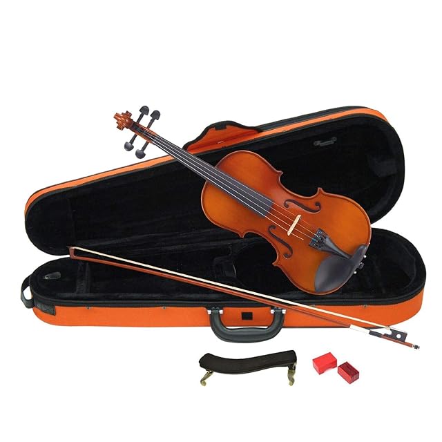 限定生産】ディスク45弁 縦置き型ディスクオルゴール | Pay ID