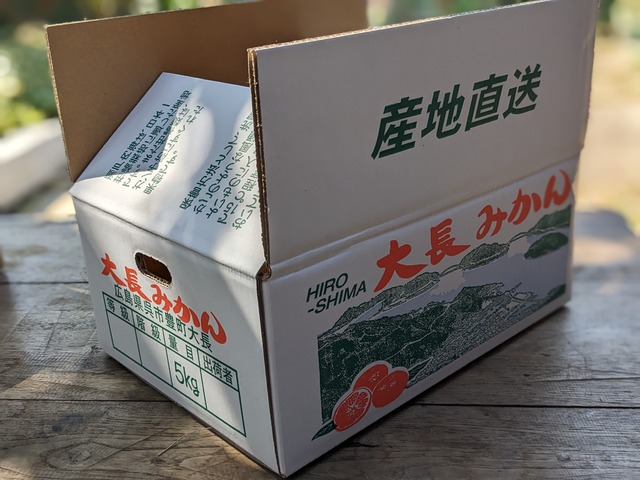 大長みかん（極早生）小粒5.5キロ箱