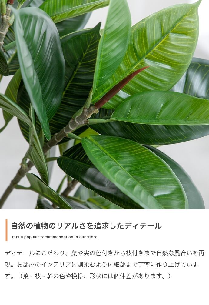観葉植物 パキラ フェイクグリーン 光触媒人工観葉植物 高さ150cm | FIGARO