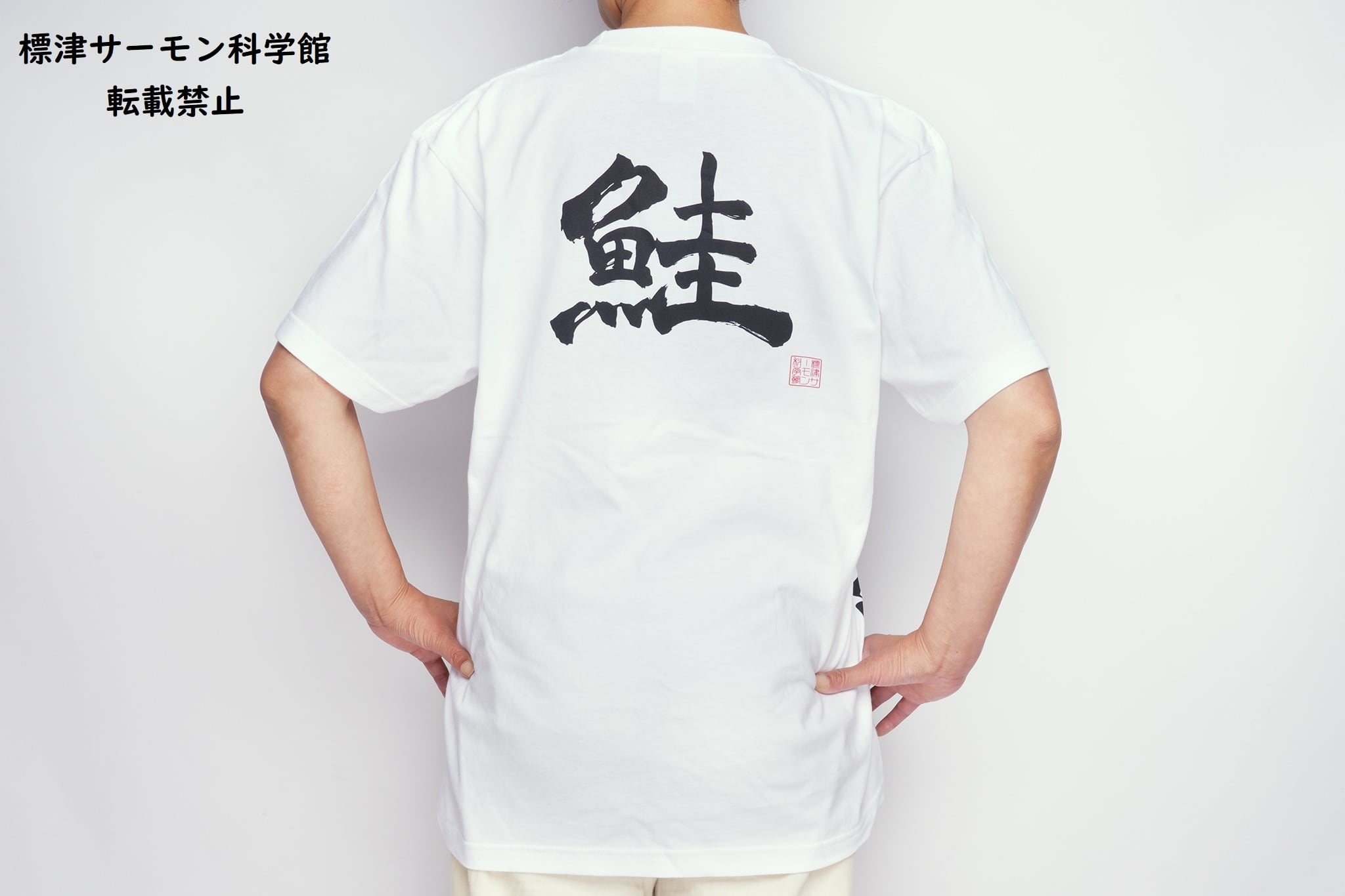 699ec1a5e6fbf4a783a122c3f6abec